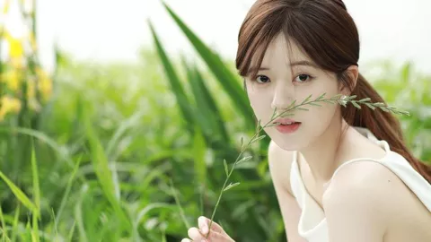 6元鸡排6亿项目