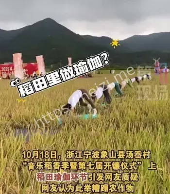 象山稻田瑜伽